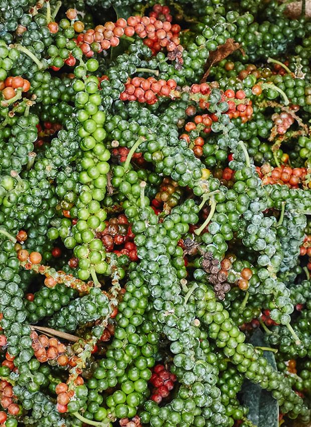 Bag of newly picked pepper