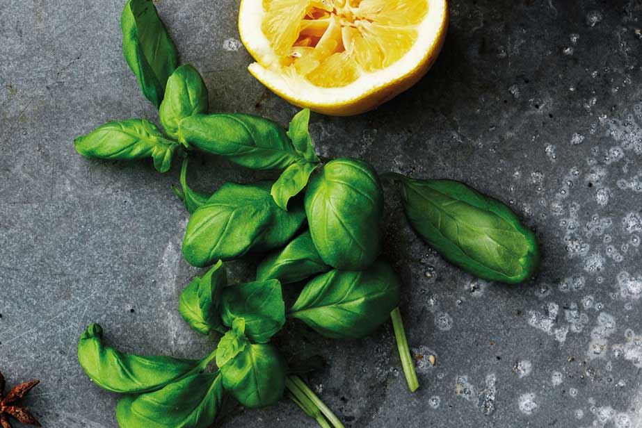 Fresh basil and a shared lemon.