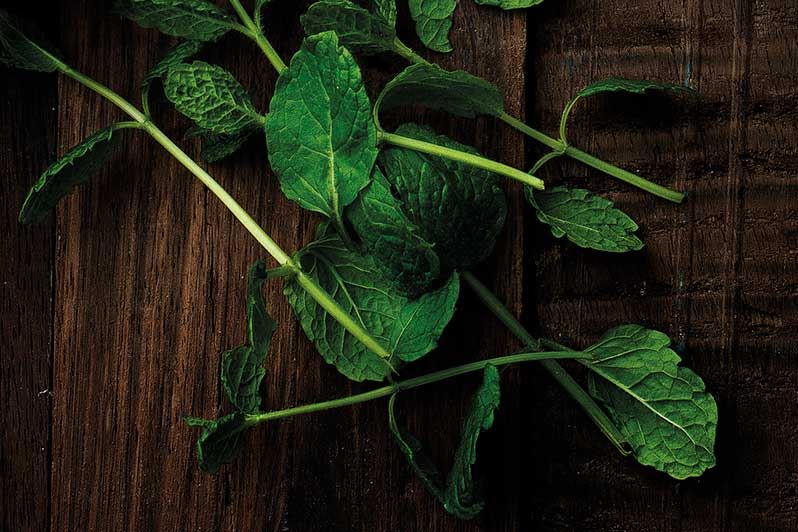 Fresh mint on a wooden board.