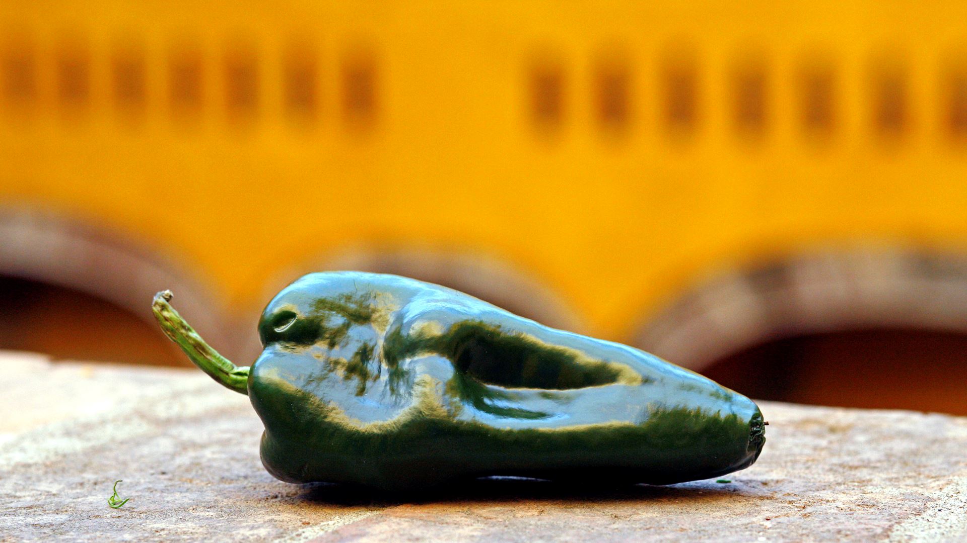 Poblano chilifrukter.