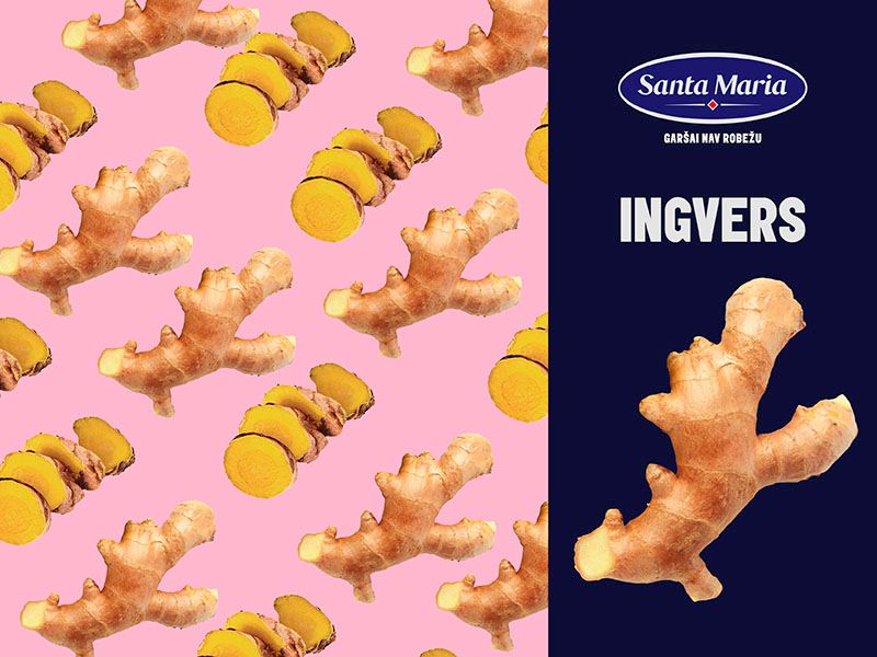 ingvera saknes uz fona